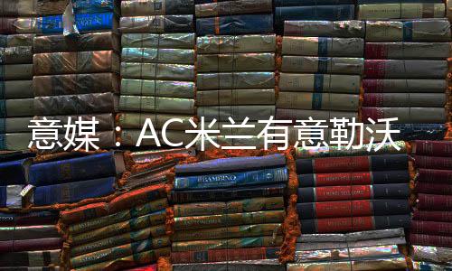 勒沃库森主场1-0战胜AC米兰