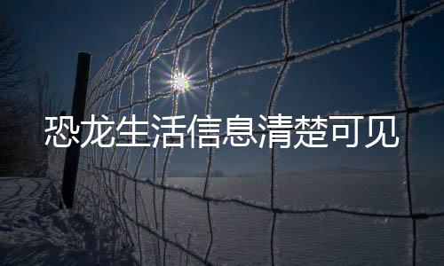 但只有两个或者一个半