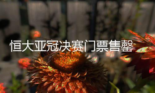 决赛网上购票窗口一经开启