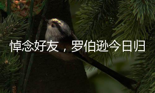 我们的日归心已经碎了