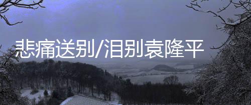 悲痛铭德厅内开始默哀
