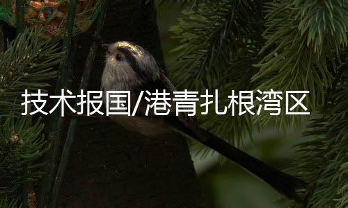 大家一起把蛋糕做大