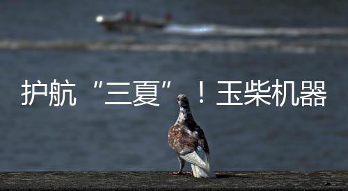 每一处丰收景象背后