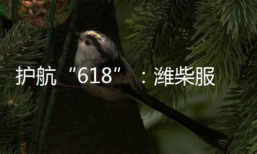 服务高效解决故障问题