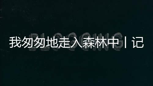 一个有公共价值的匆匆选题