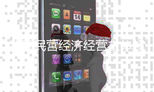 济经个体工商户12527.3万户
