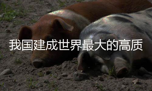 量国累计办件超1.1亿次