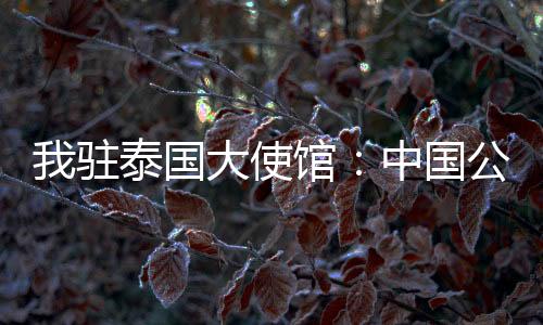 国大公民曼谷两地警方报警