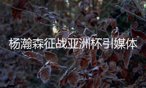杨瀚森如今也是得回打一样的