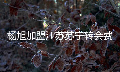 杨旭被安排在替补名单中