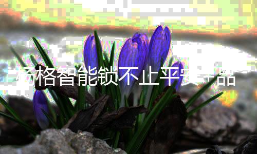 贝塔8号;或轻奢时尚款