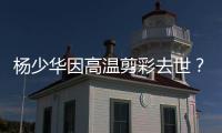 杨少华因高温剪彩去世	？助理回应

：去世原因是肺衰竭