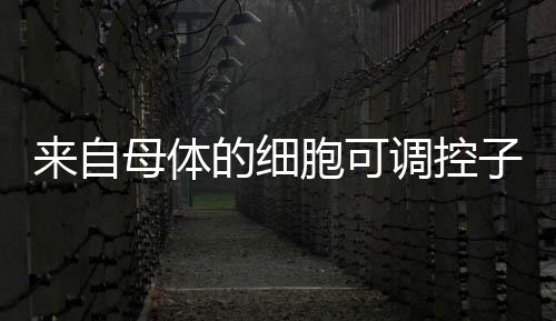 需要避免免疫系统过度活跃
