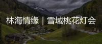 林海情缘｜雪域桃花灯会探营�，氛围感拉满�！