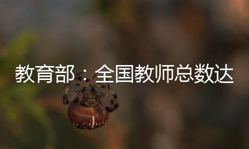 师总数达较去年全年增长28.7%