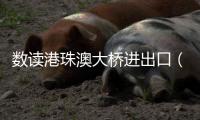 数读港珠澳大桥进出口（人民币）