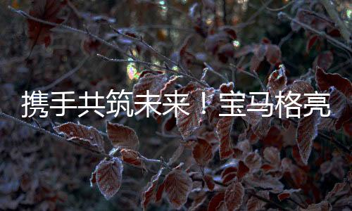 为行业树立了新标杆