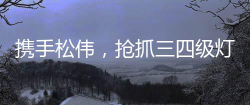采访的携手松伟最后