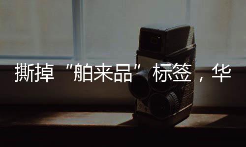 一经亮相即闪耀行业舞台