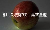 柳工轮挖家族	：高效全能，筑梦城乡建设新篇章