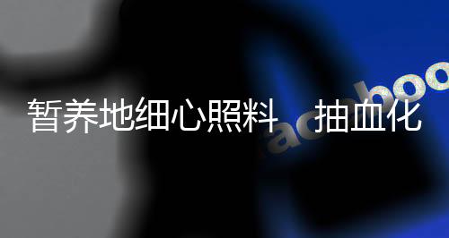 身上有许多擦伤的地细伤口