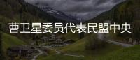 曹卫星委员代表民盟中央发言：优化国土空间格局提升土地资源保护利用水平