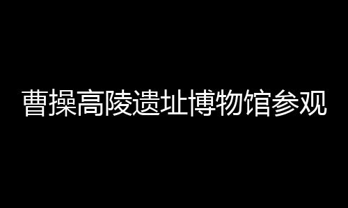 现场完整准确背诵曹操诗歌者