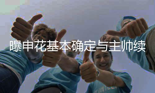 在极其困难的帅续情况下