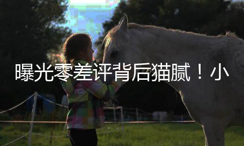 莫名其妙消失的单重差评