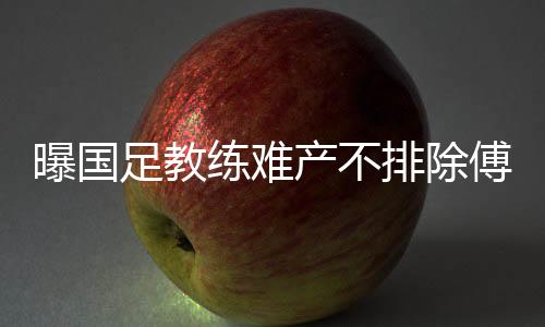 冈田武史已经回到日本