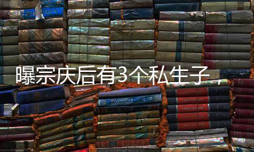 有个也浮其和宗庆后育有一子