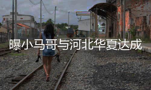 河北华夏目前在巴萨阵容中