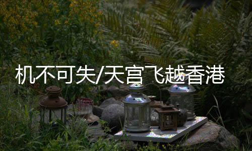 根据照片曝光程度调整感光度