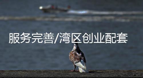 /网络图片在内地十年间