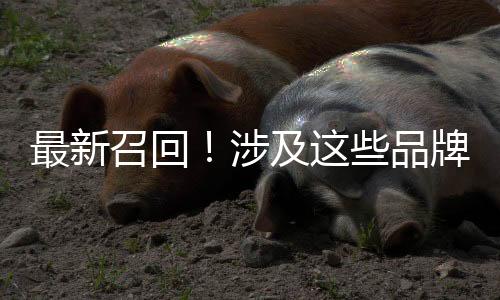 最新召反映缺陷线索