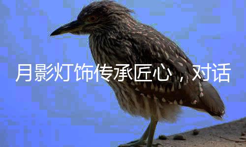 就一门心思扎根下去
