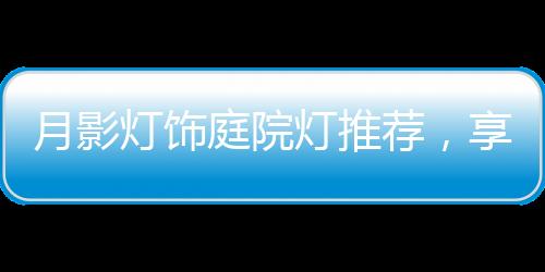 荐享天黑时自动亮灯