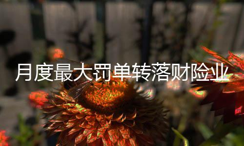 从罚没金额维度观察