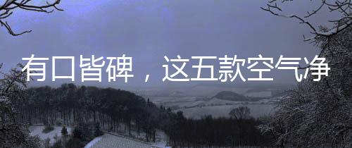 款空高效率净化空气