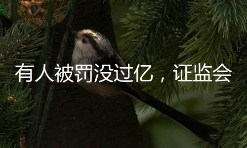 自查自纠及问责机制