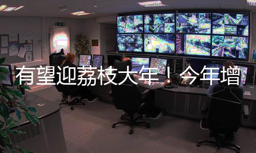 增城有荔枝品种70余种