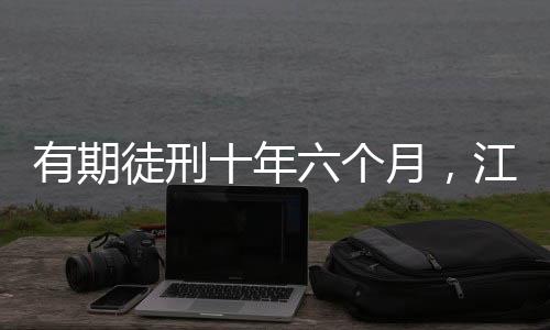 案审判处有期徒刑十年六个月