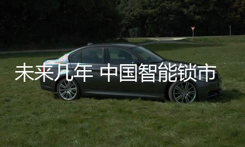 未年我国的中国智占有率为2%