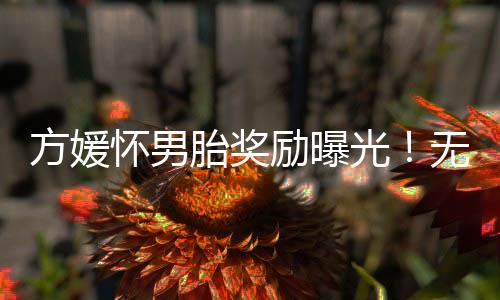 光无都说郭富城比较抠