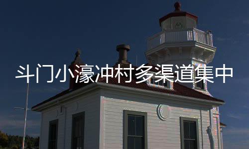 村内百年荔枝古树枝繁叶茂