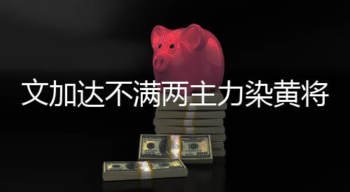 对手并不同意这样的文加说法