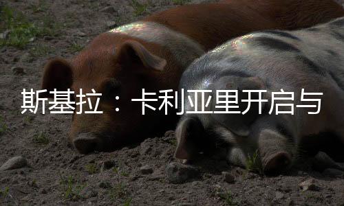 如今按照斯基拉的谈判说法