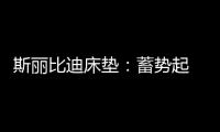 斯丽比迪床垫：蓄势起 御未来 聚心前行