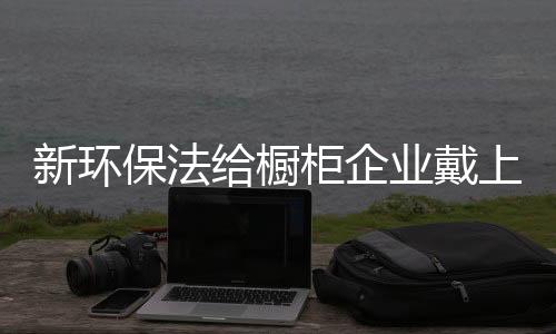 满足消费者的紧箍咒绿色需求