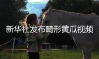 新华社发布畸形黄瓜视频爆火	，戳破了当下教育最大的真相